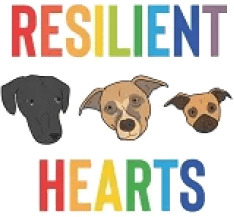 Resilient Hearts Volunteer Dashboard